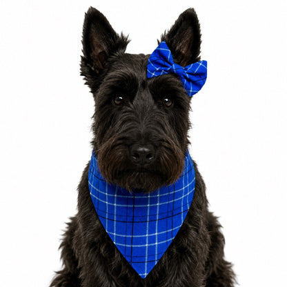 Bluegrass Plaid