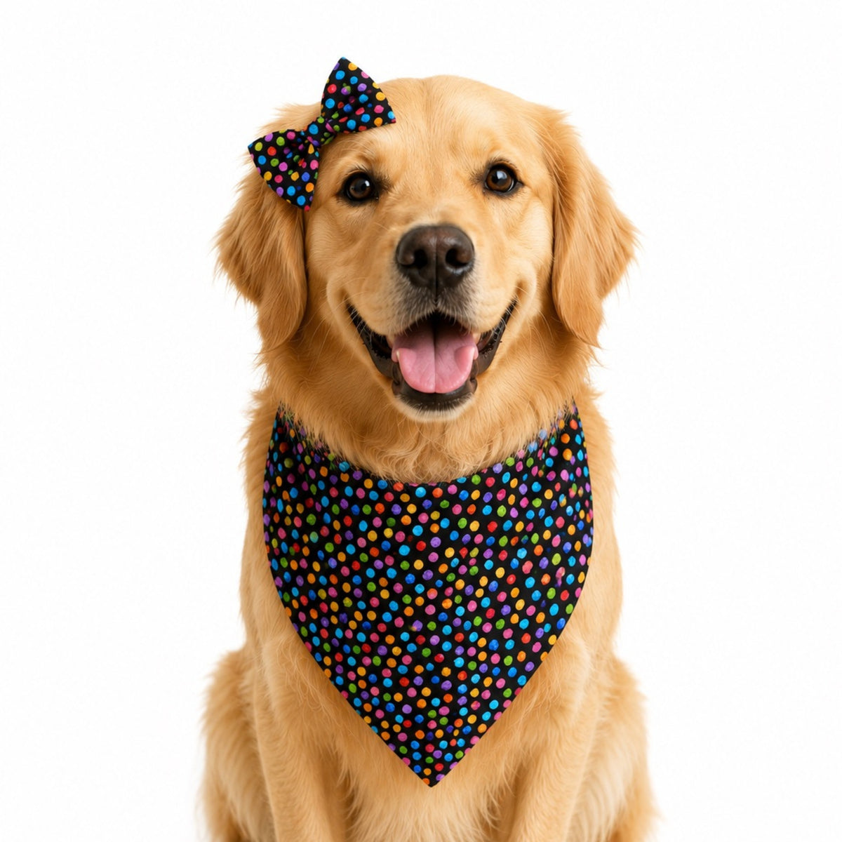 Confetti Pop