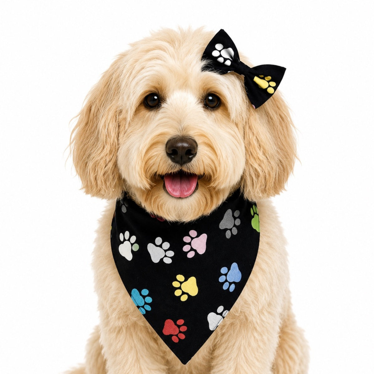 Paw Pop
